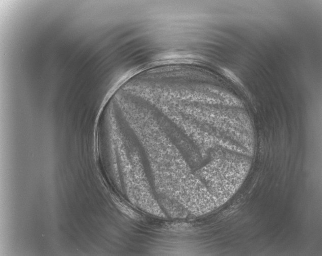 X0000055971370200509162147