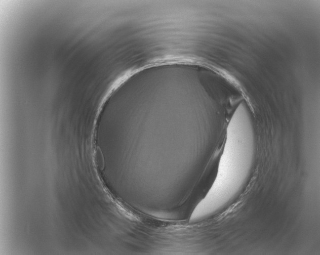 X0000055971373200509162147