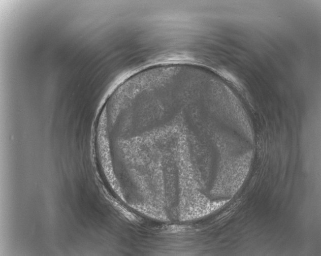 X0000055971374200509162147