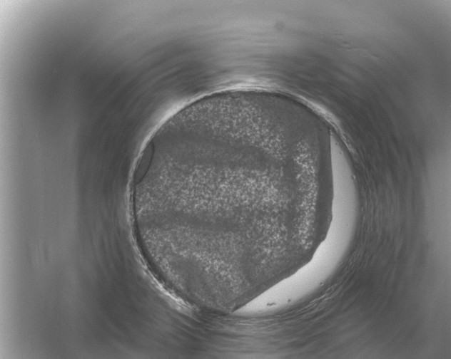 X0000055971375200509162147