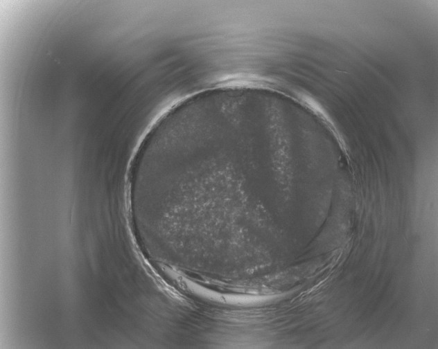 X0000055971376200509162147