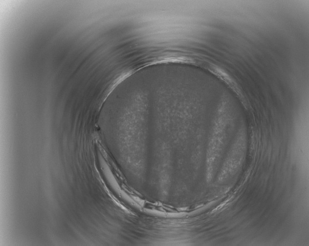 X0000055971377200509162147