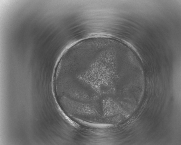 X0000055971379200509162147