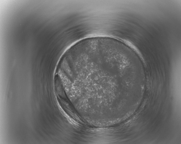 X0000055971380200509162147