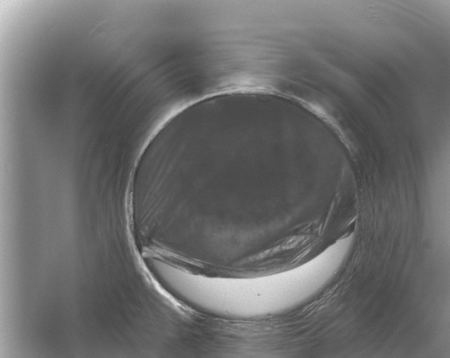 X0000055971383200509162147