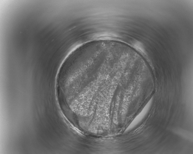 X0000055971384200509162147