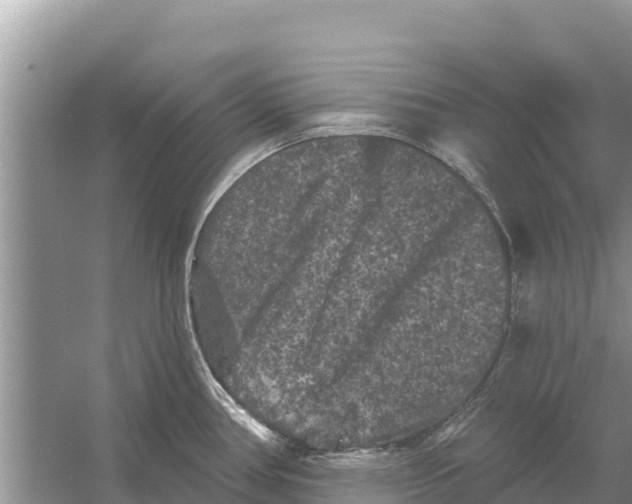 X0000055971386200509162147