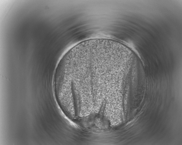 X0000055971387200509162147