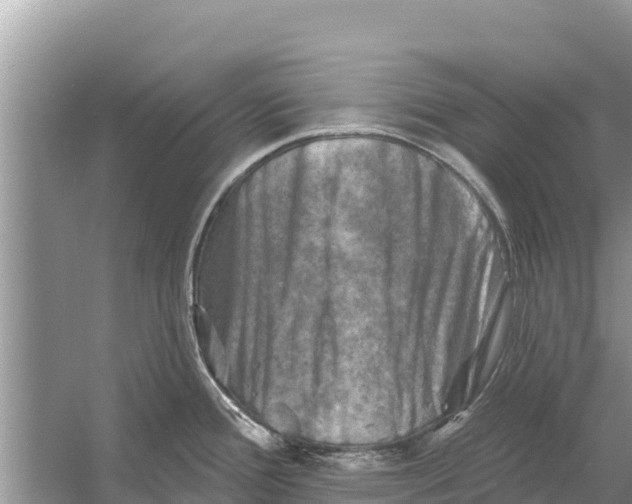 X0000055971388200509162147