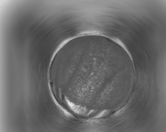 X0000055971389200509162147