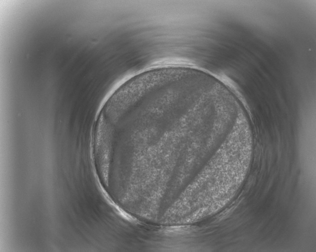 X0000055971390200509162147