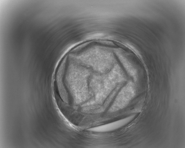 X0000055971392200509162147