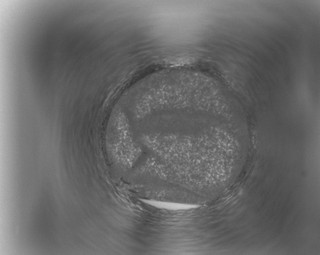 X0000055971393200509162146