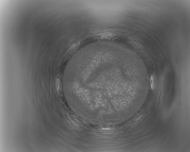 X0000055971395200509162146