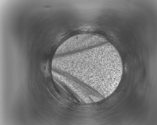 X0000055971396200509162146