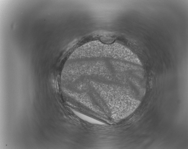 X0000055971397200509162146