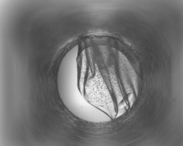 X0000055971398200509162146