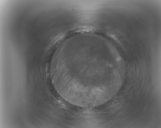 X0000055971399200509162146