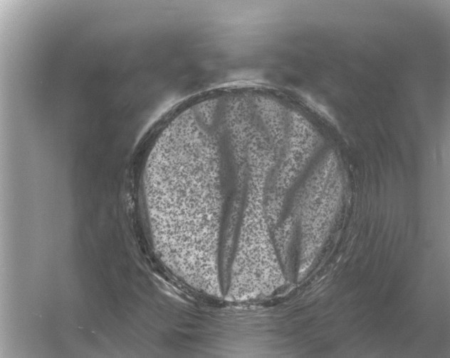 X0000055971400200509162146