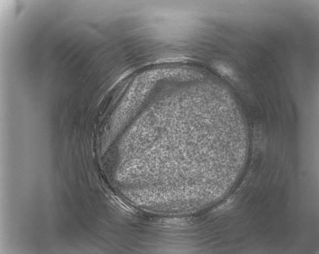 X0000055971401200509162146