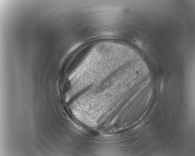 X0000055971402200509162146