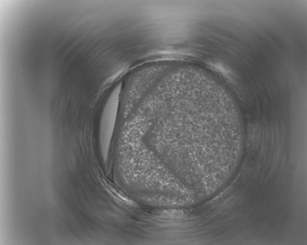 X0000055971403200509162146