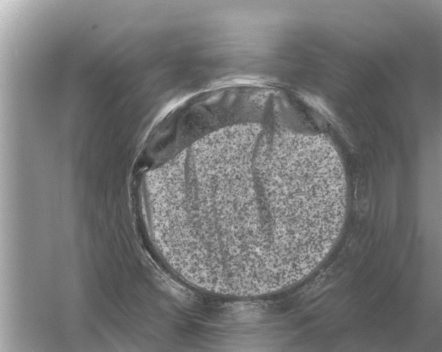 X0000055971404200509162146