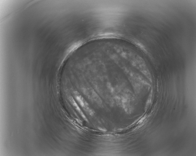 X0000055971405200509162146