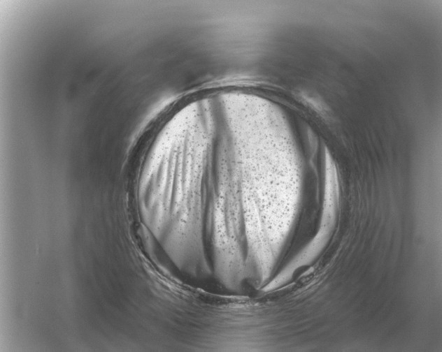 X0000055971406200509162146