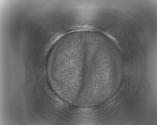 X0000055971407200509162146