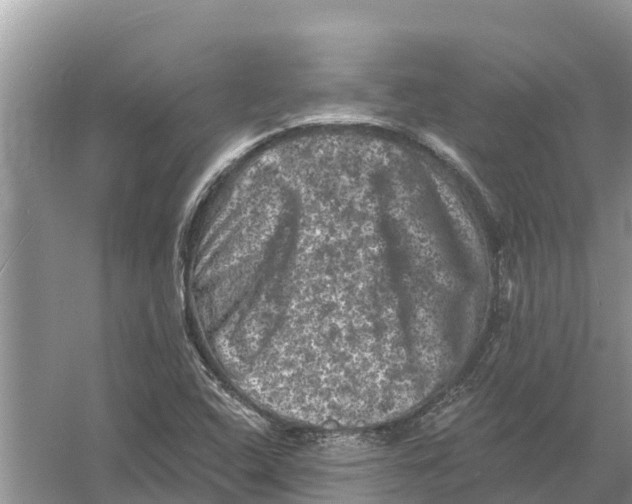 X0000055971408200509162146