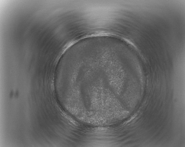 X0000055971409200509162146