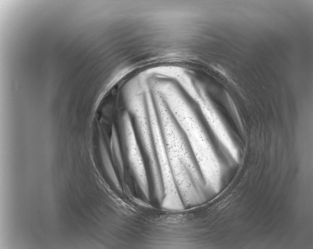 X0000055971410200509162146