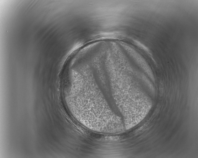 X0000055971411200509162146