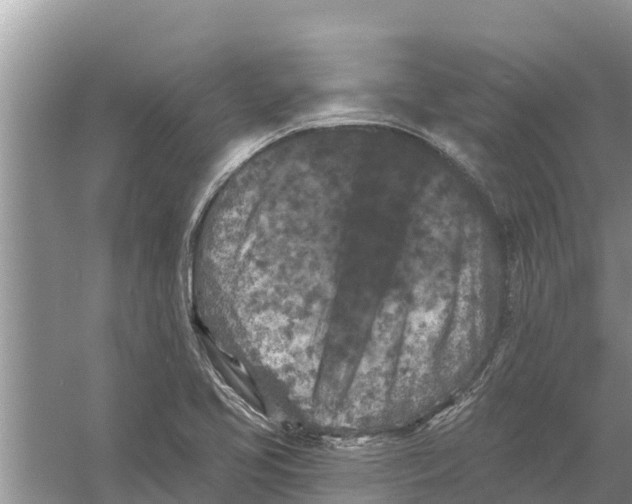 X0000055971413200509162146