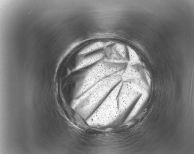 X0000055971414200509162146