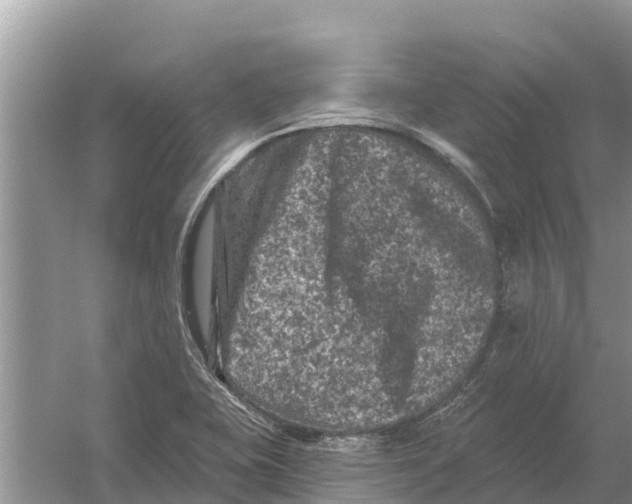 X0000055971415200509162146