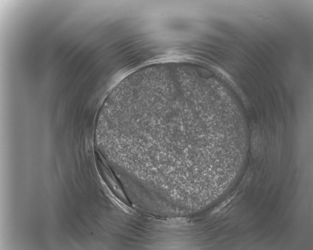 X0000055971417200509162146