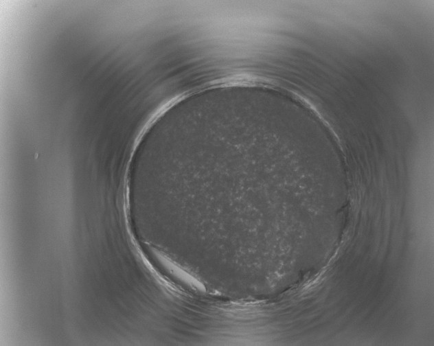 X0000055971418200509162146