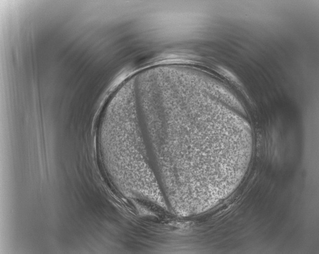 X0000055971419200509162146