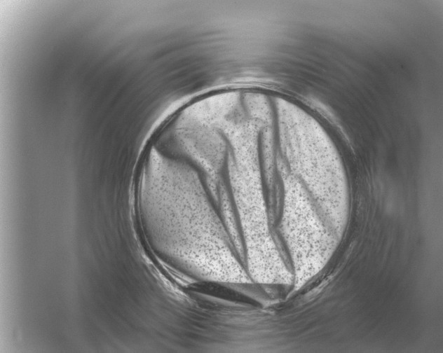 X0000055971420200509162146