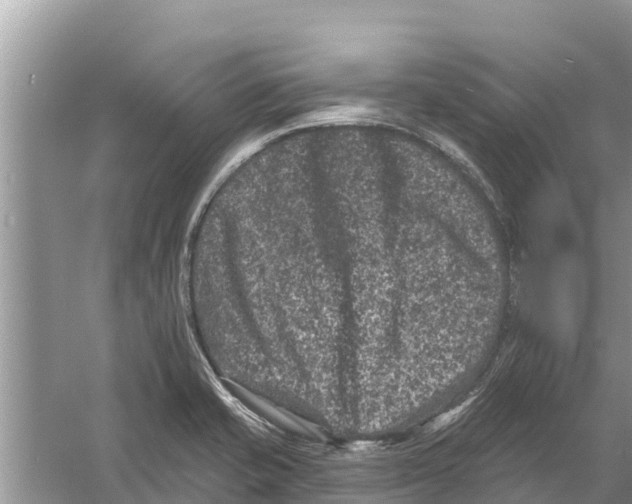 X0000055971421200509162146