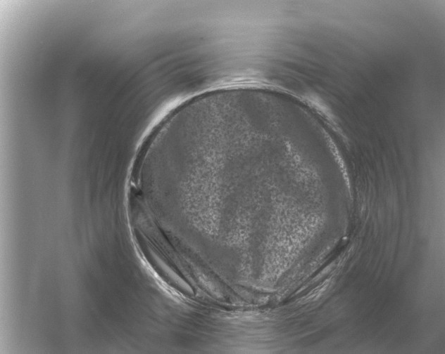 X0000055971422200509162147