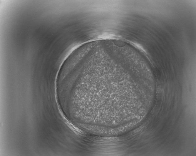 X0000055971423200509162147