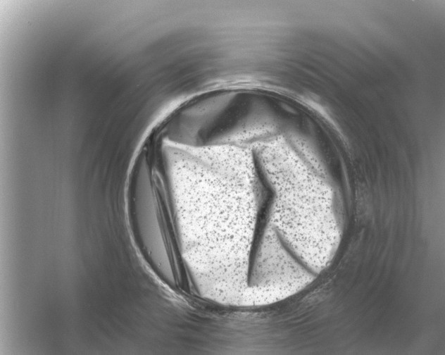 X0000055971424200509162147