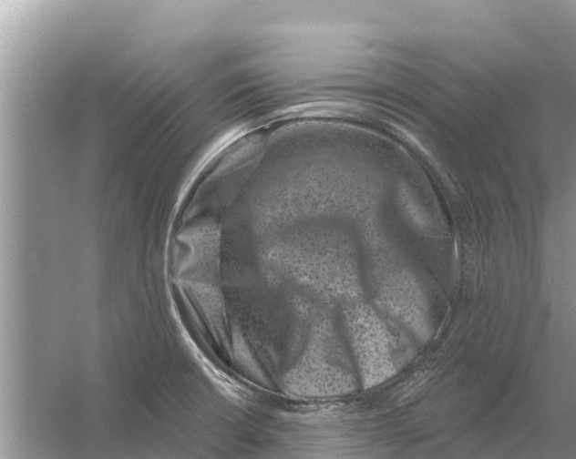 X0000055971426200509162147