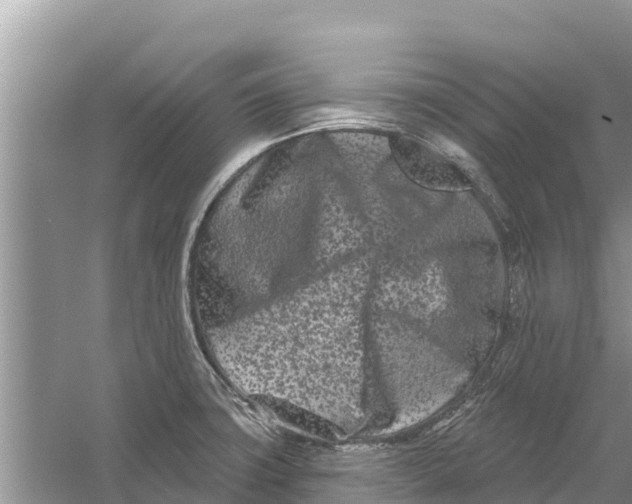 X0000055971427200509162147