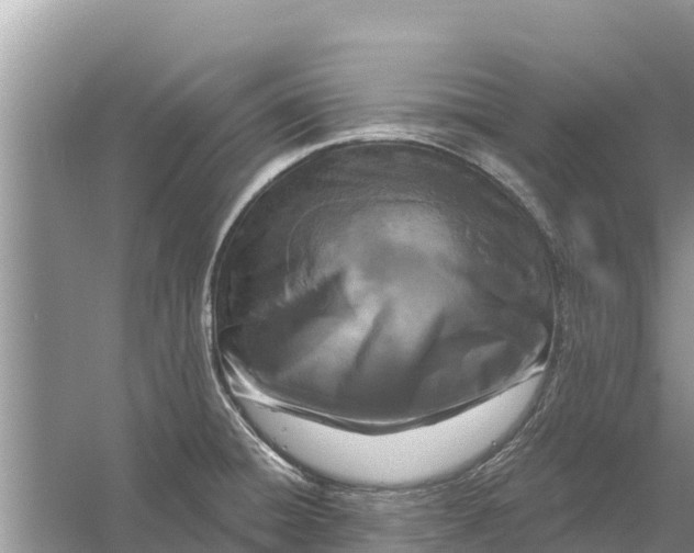 X0000055971428200509162147