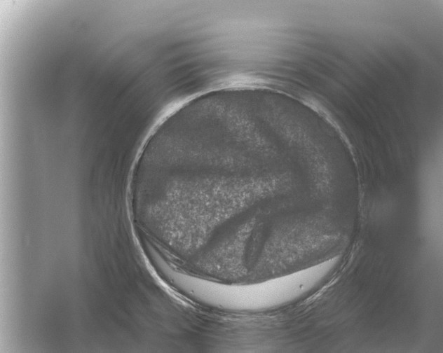 X0000055971429200509162147