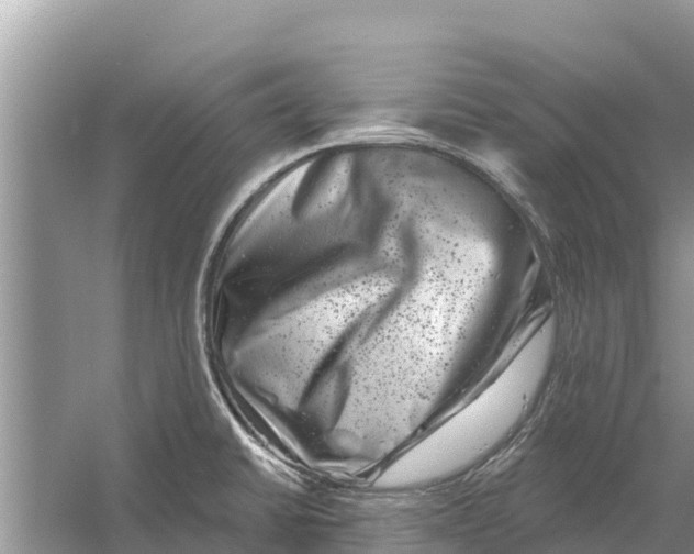 X0000055971430200509162147